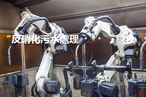 “反硝化污水處理，綠色環(huán)保新篇章”